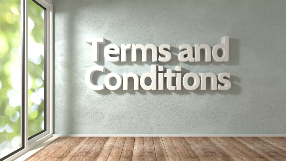 Terms and Conditions: Promotion Redemption